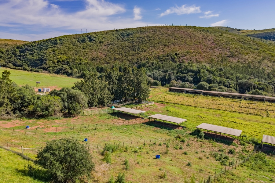 8 Bedroom Property for Sale in Elandsrivier Eastern Cape